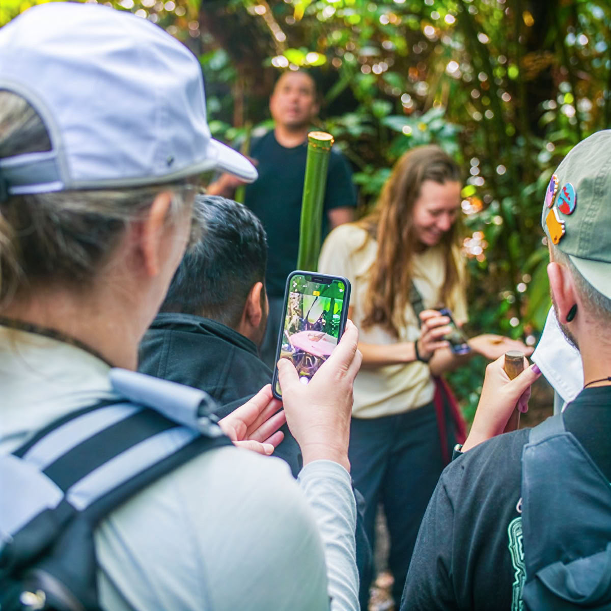 Private Cloud Forest Tour - Pantropical Trail (1.5 hr)