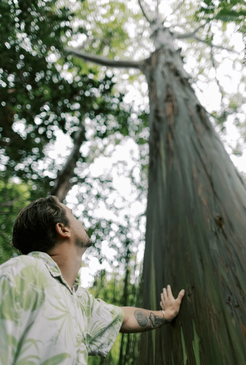 Forest Bathing Experience (Shinrin-Yoku): A Guided Journey of Peace and Wellness