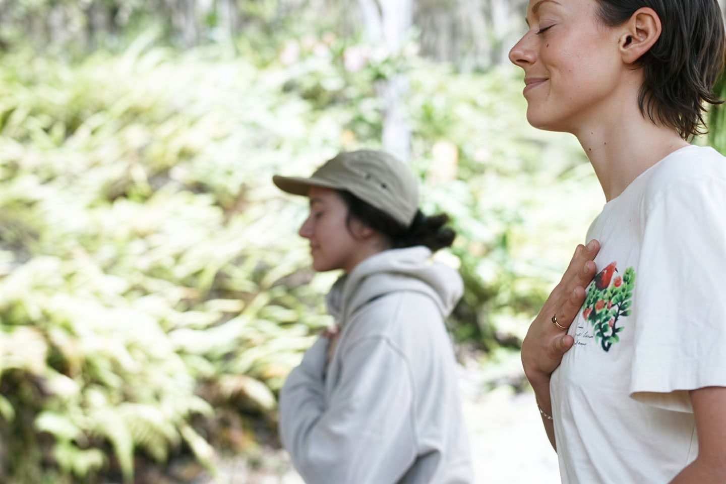 Forest Bathing Experience (Shinrin-Yoku): A Guided Journey of Peace and Wellness