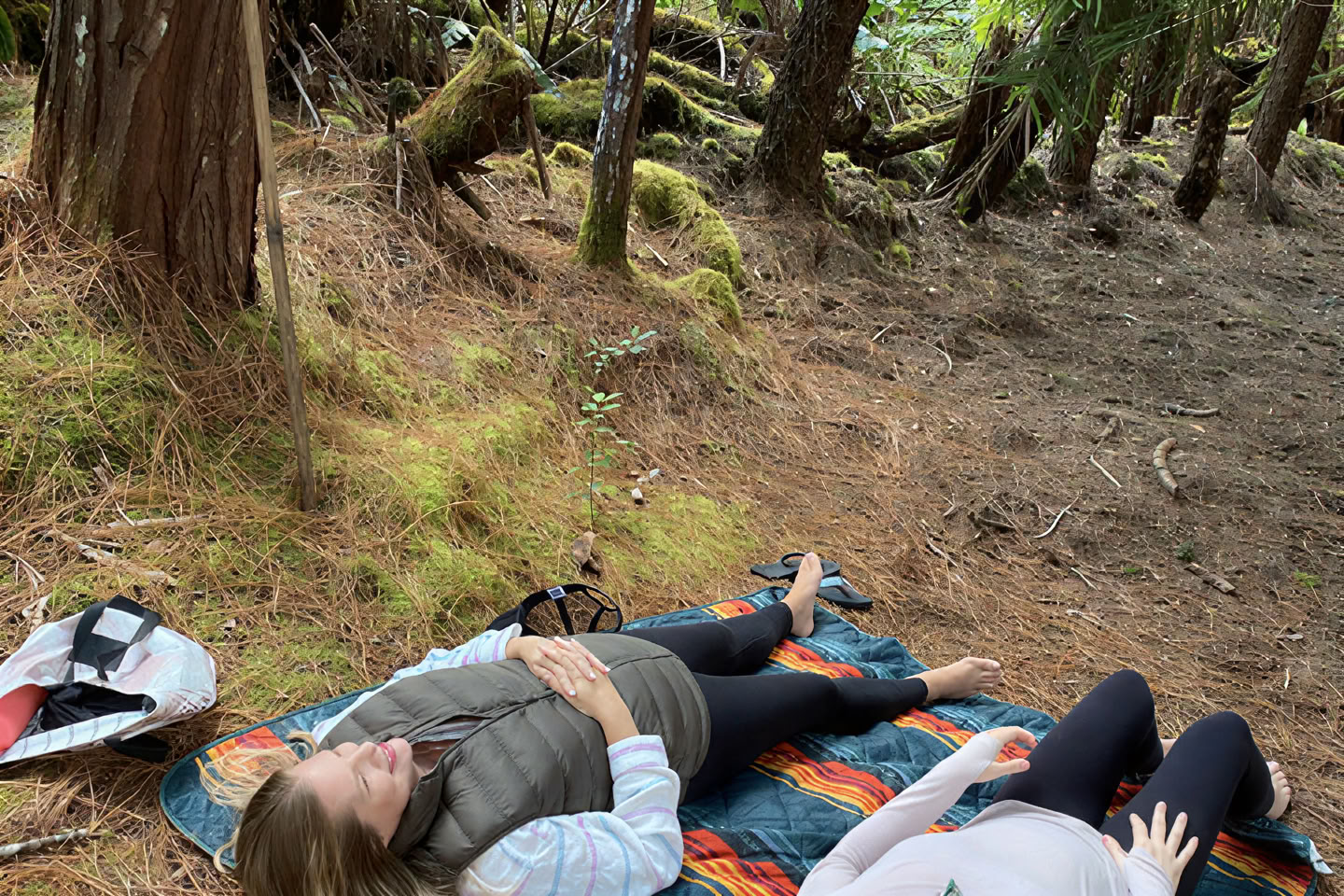 Forest Bathing Experience (Shinrin-Yoku): A Guided Journey of Peace and Wellness