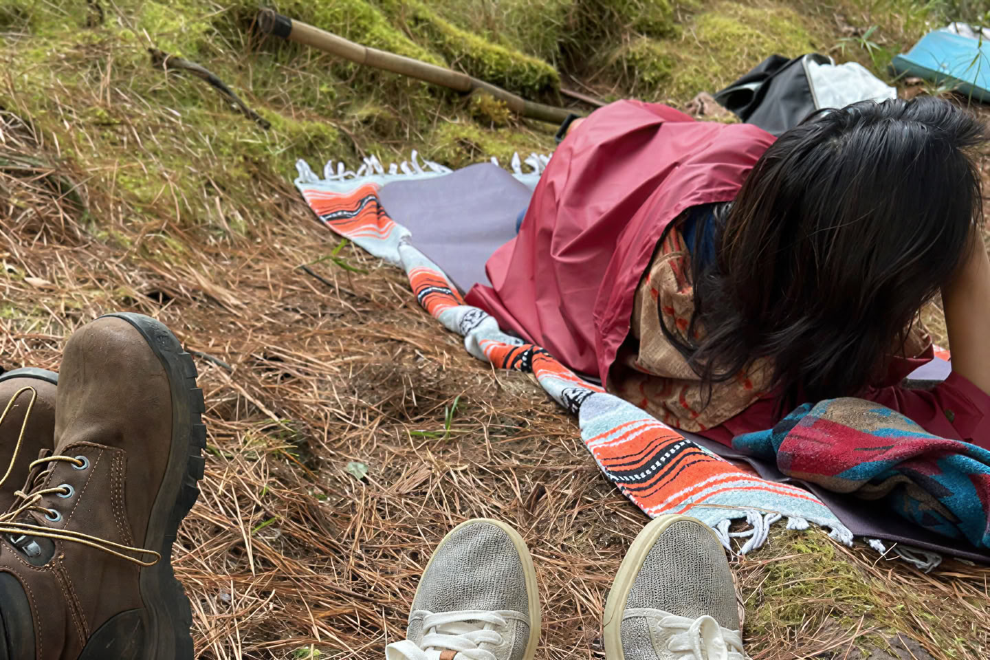 Forest Bathing Experience (Shinrin-Yoku): A Guided Journey of Peace and Wellness