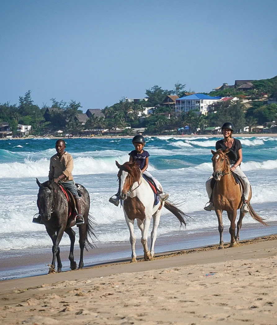 Wild, Happy and Free Retreat