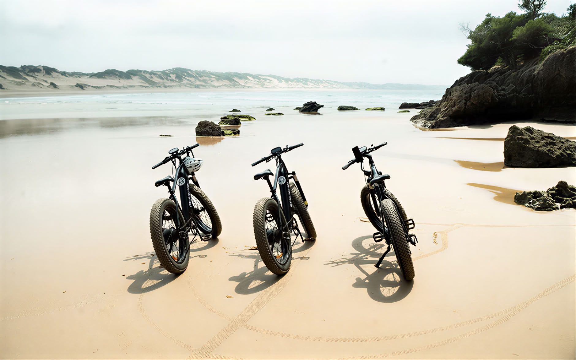 E-Bike Tour