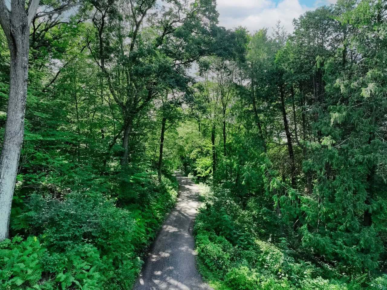 Walking the Path to Your Best Life — Lake Osceola Retreat