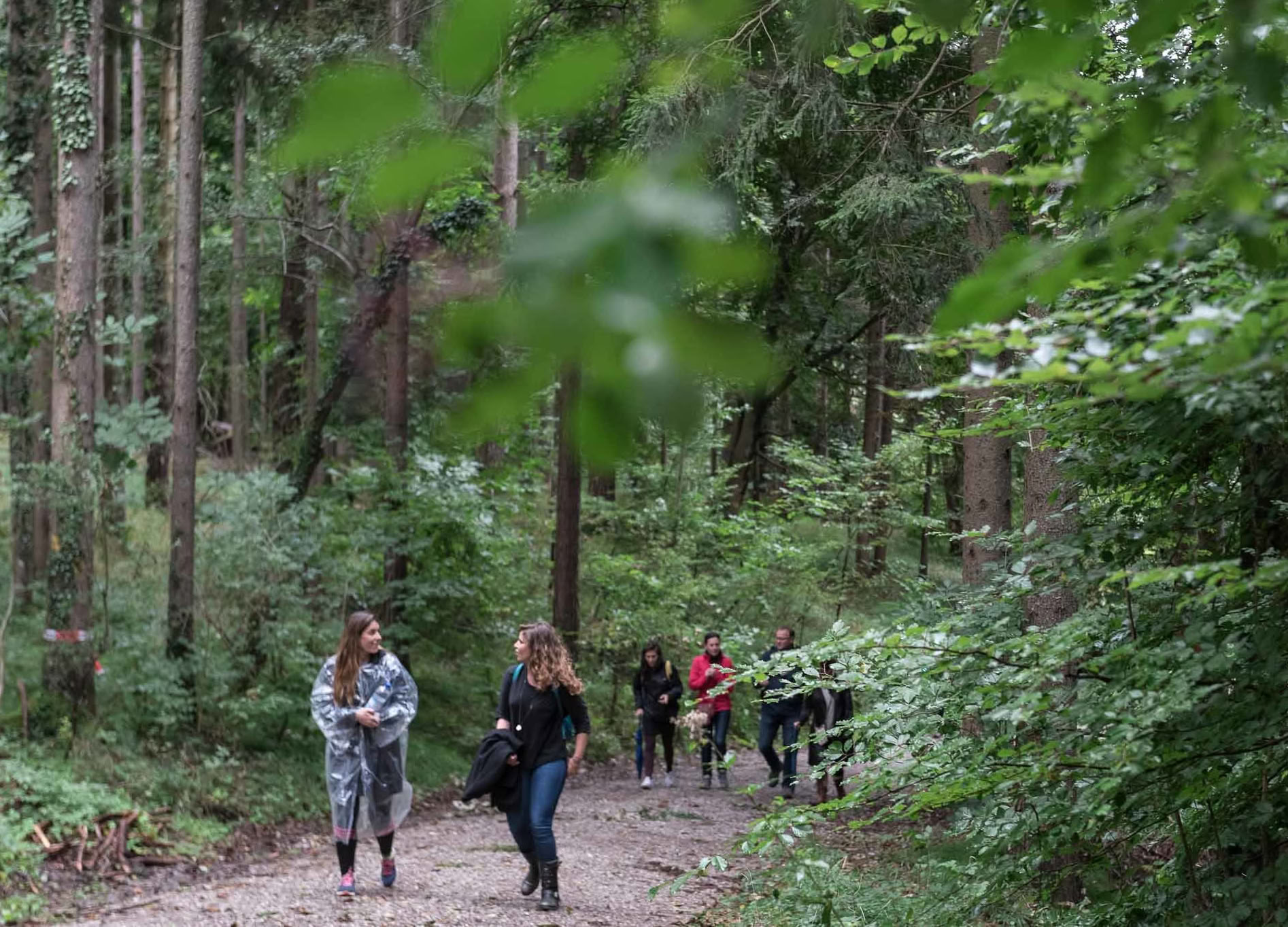 The Seven Trails Seeker | Free (August) — Lake Osceola Retreat
