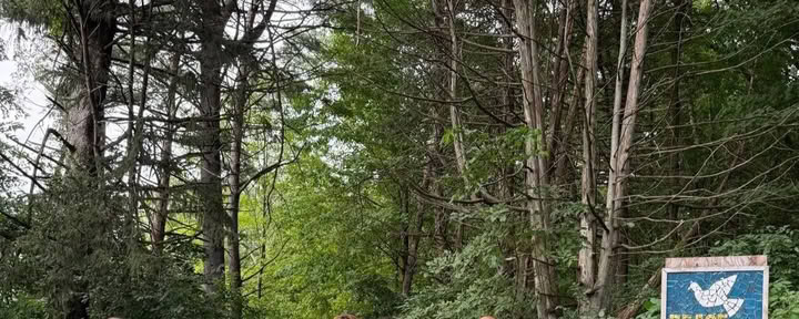 The Seven Trails Seeker | Free (August) — Lake Osceola Retreat