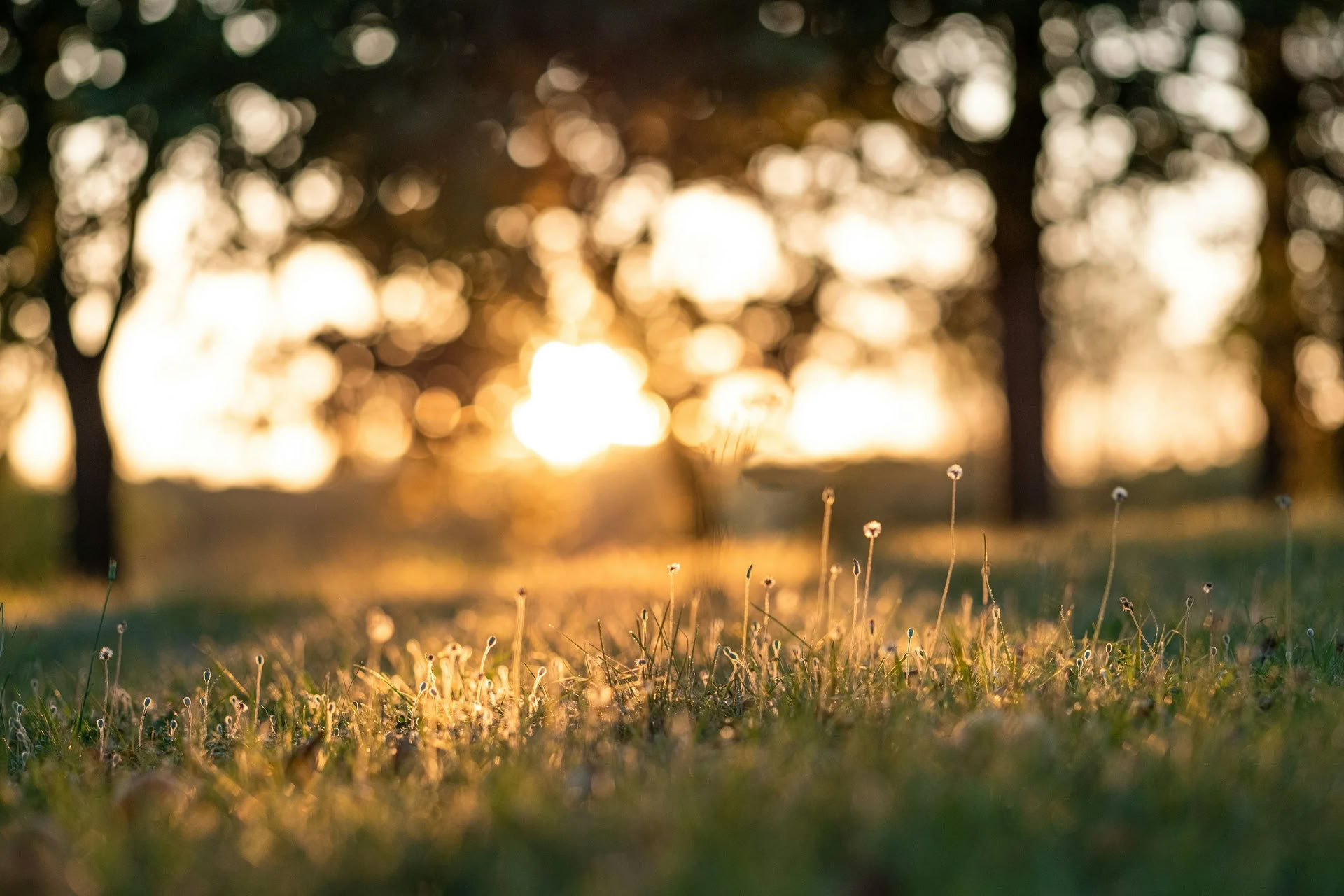 Rest & Restore — Lake Osceola Retreat