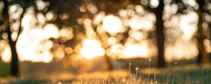 Rest & Restore — Lake Osceola Retreat