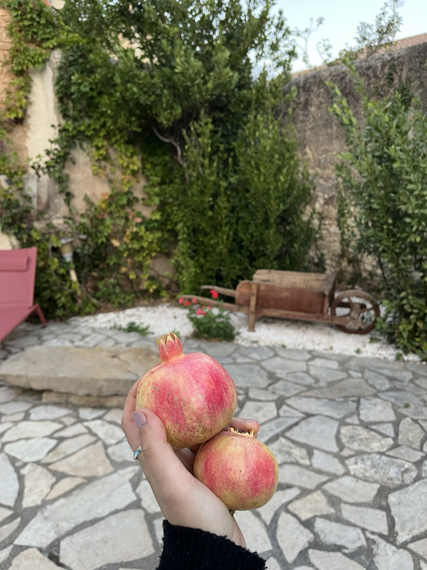 Reignite Your Inner Radiance: Yoga & Meditation Retreat in the South of France