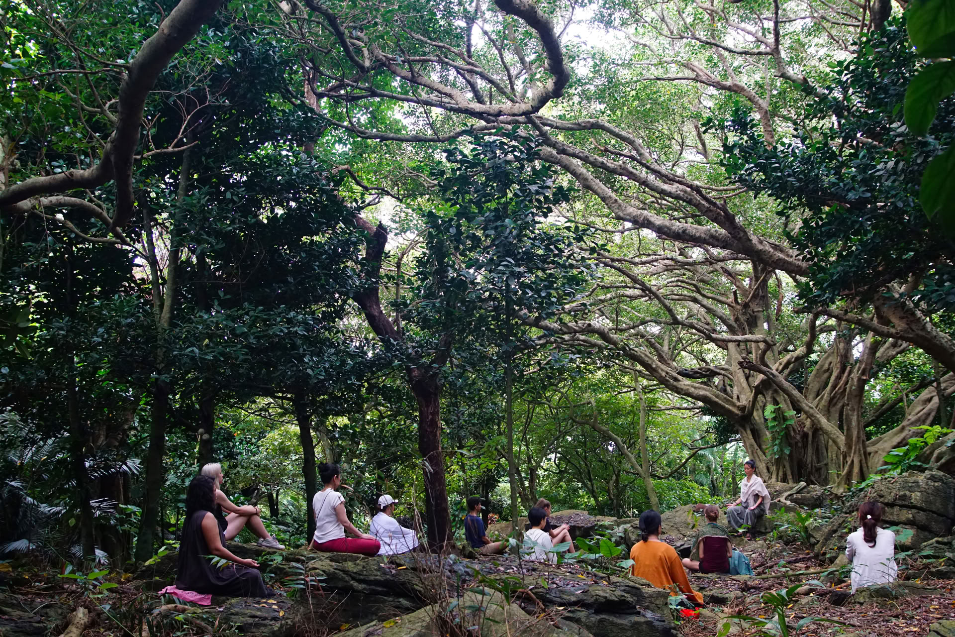 The Art of slowing down: Yoga and Qigong Retreat with Yoga kuukan