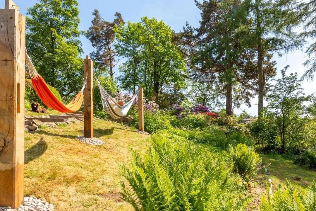 Beginner SUP, Yoga, Wild Swim & Sauna