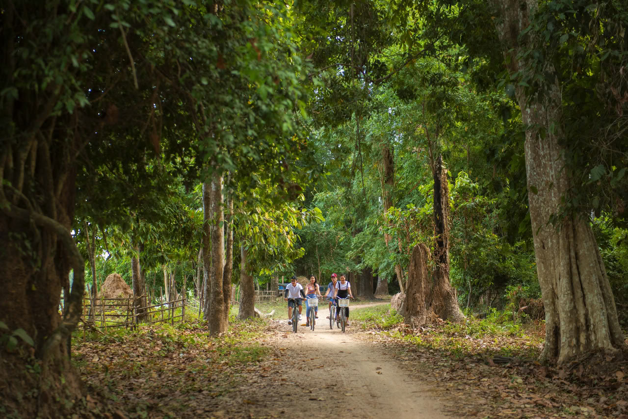 Bicycle Tour