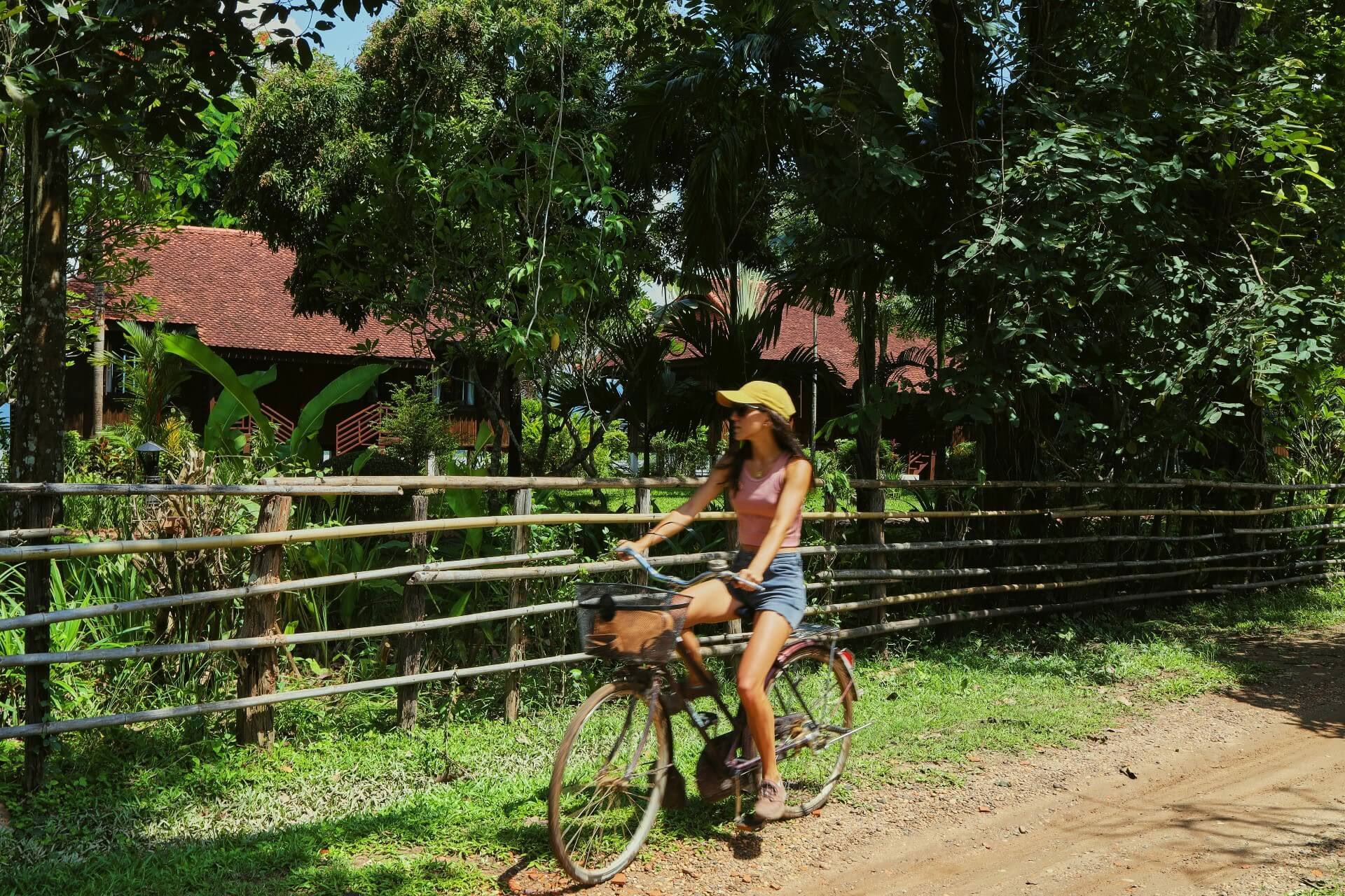 Bicycle Tour