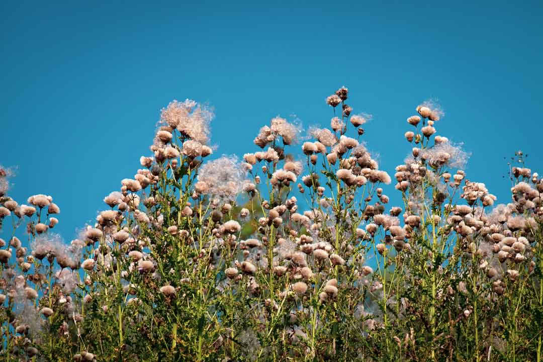3-Day Yoga Retreat Scotland – 2 – 5 October