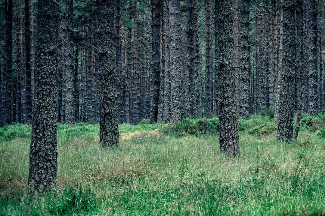 3-Day Yoga Retreat Scotland – 2 – 5 October