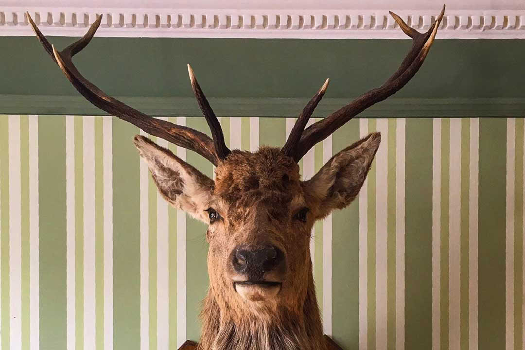 Relaxation at Rannoch
