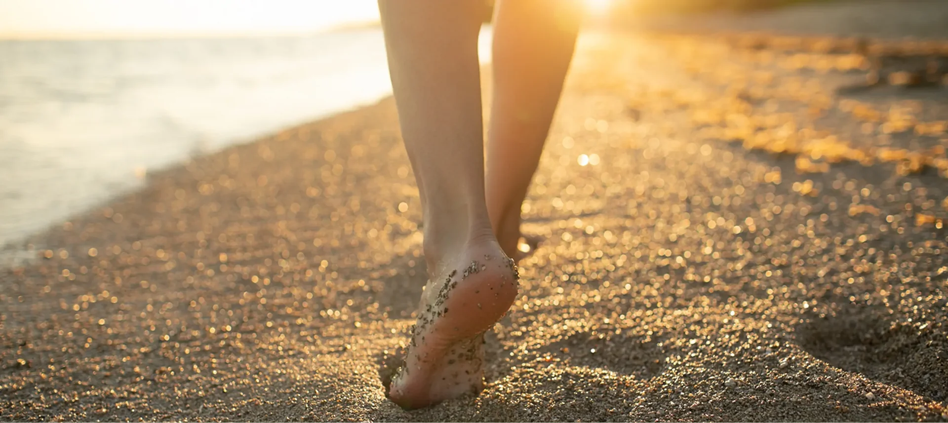 Rooted within - Female Wisdom Retreat Sept 2026
