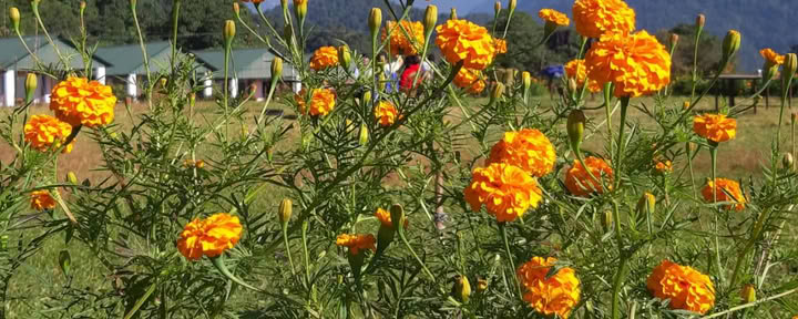 Yoga Retreat in Dhampus