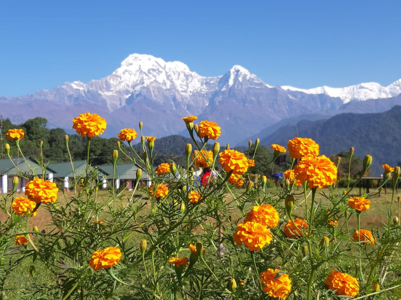 5 days/4 nights: Yoga Retreat in Astam