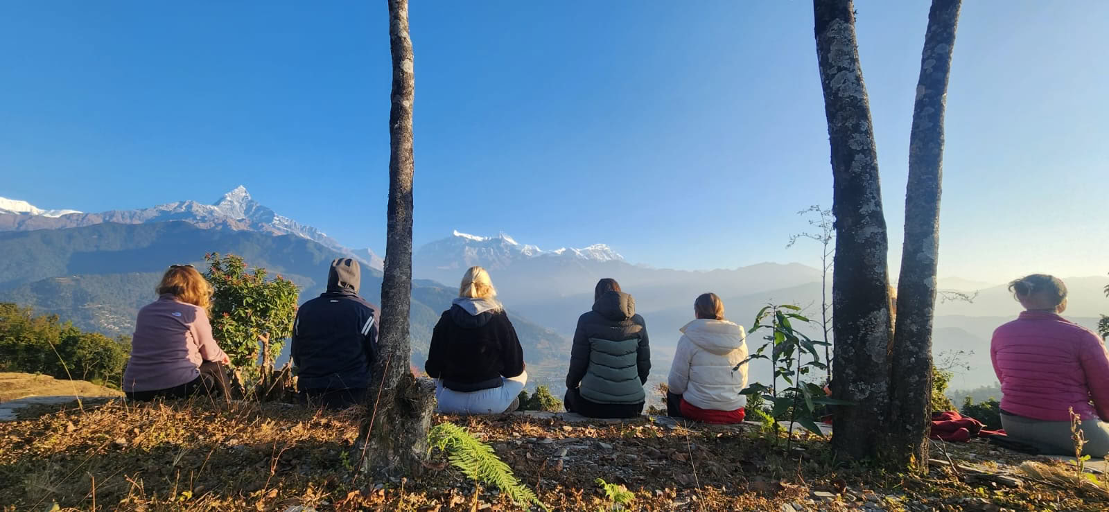 Himalayan View YTTC (5th September 2026)
