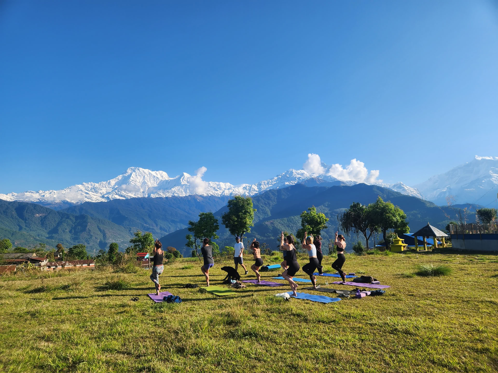 Himalayan View YTTC (5th October 2026)