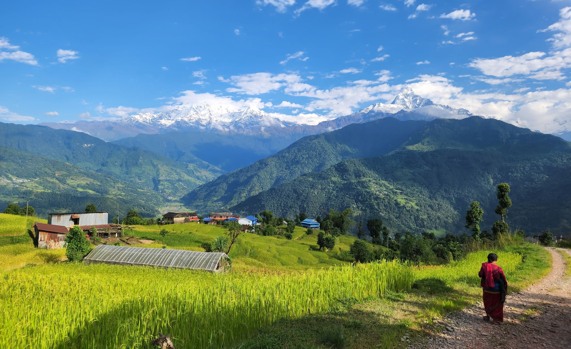 Himalayan View YTTC