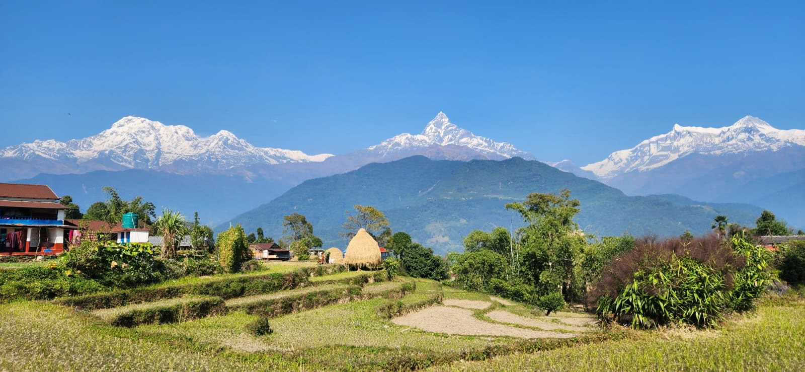 Himalayan View YTTC