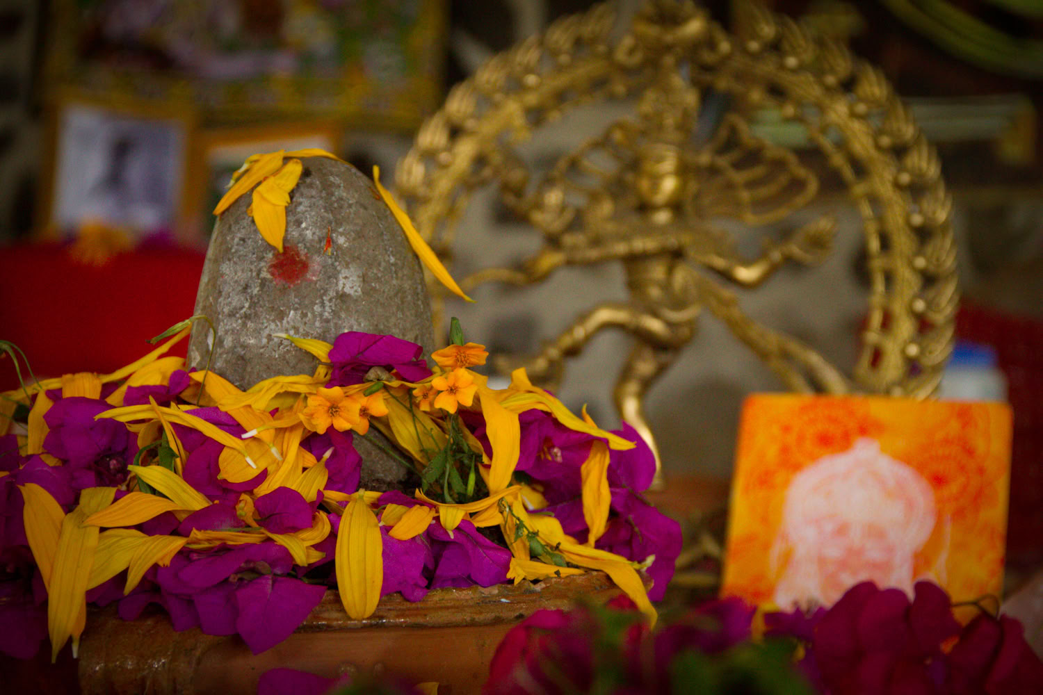 Introduction to Vipassana