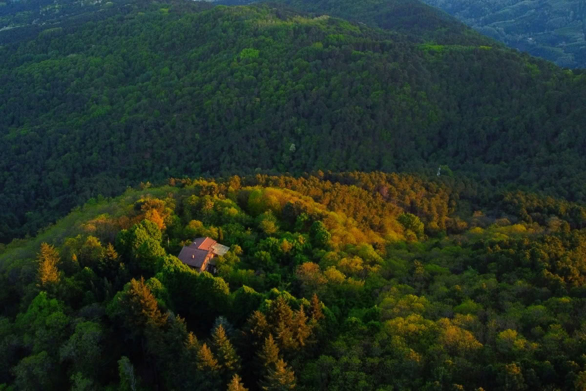 200-Hour RYT · Tuscany, Italy · Yoga Alliance Certified