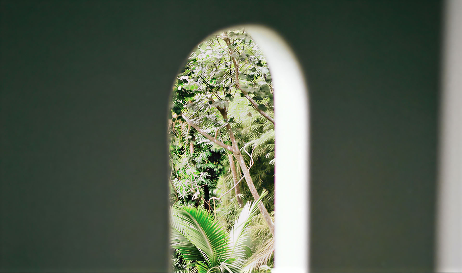 Writing & Wellness Residency