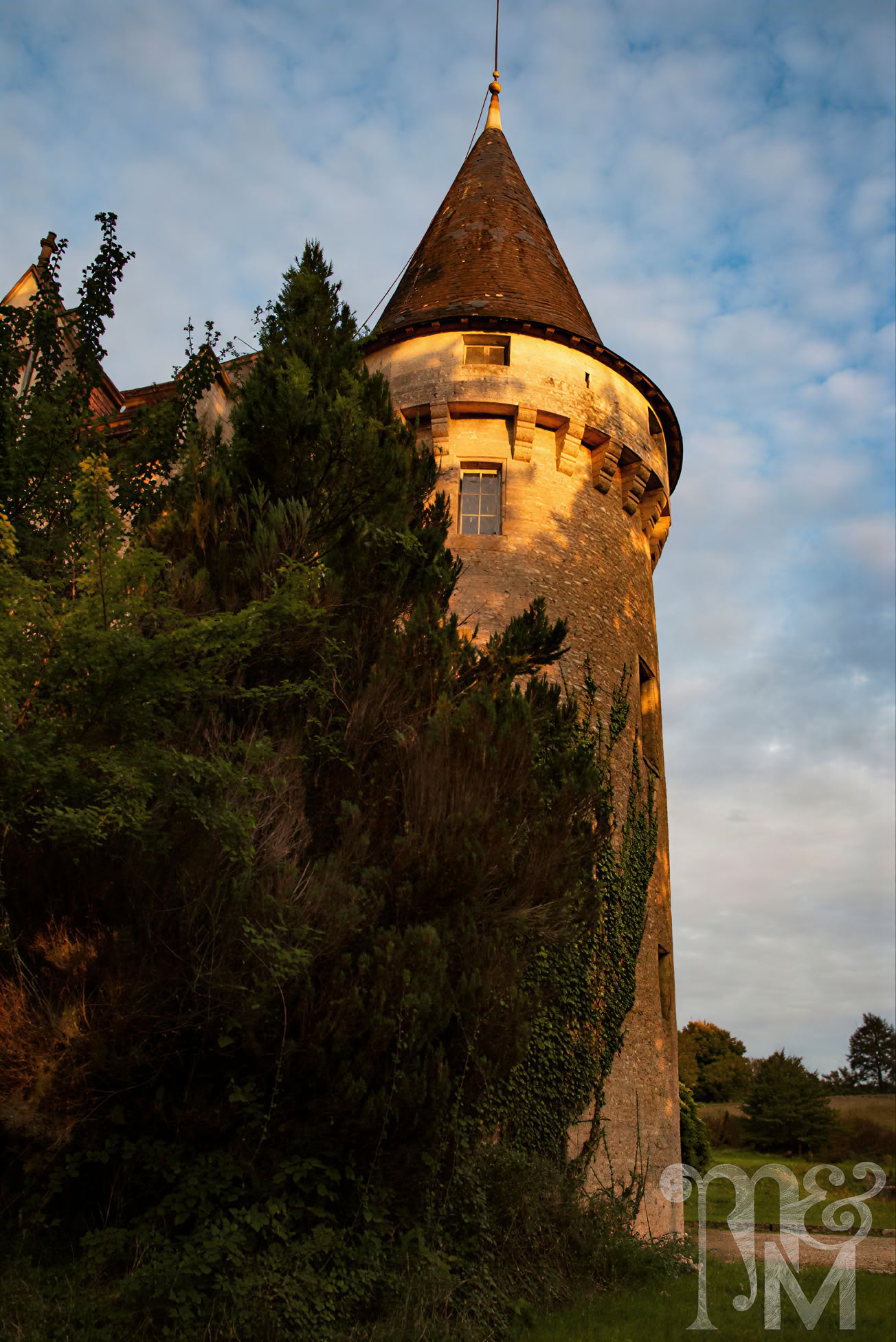 Writing & Wellness Residency
