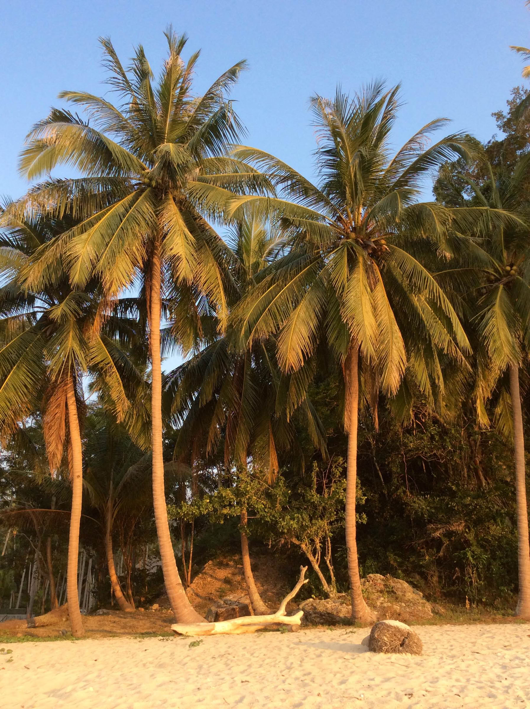 Chakra Balancing Retreat