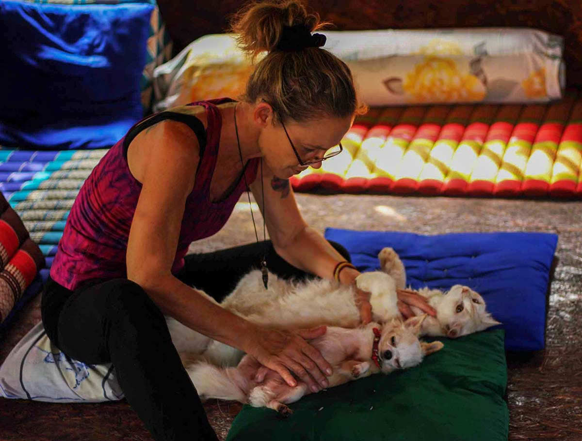 Reiki Healing