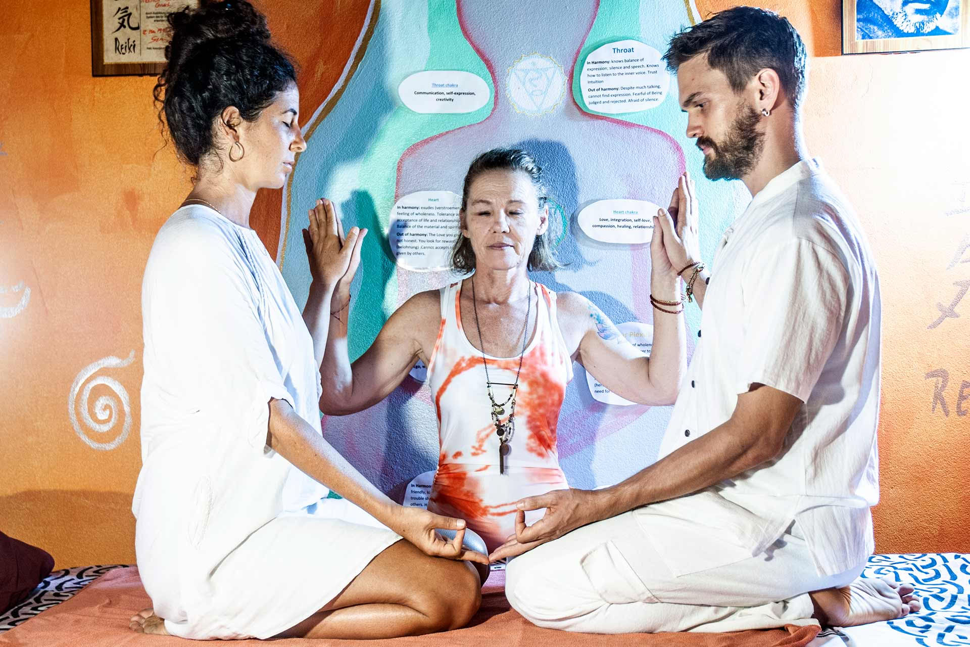 The Healing Prema Reiki Workshop Course