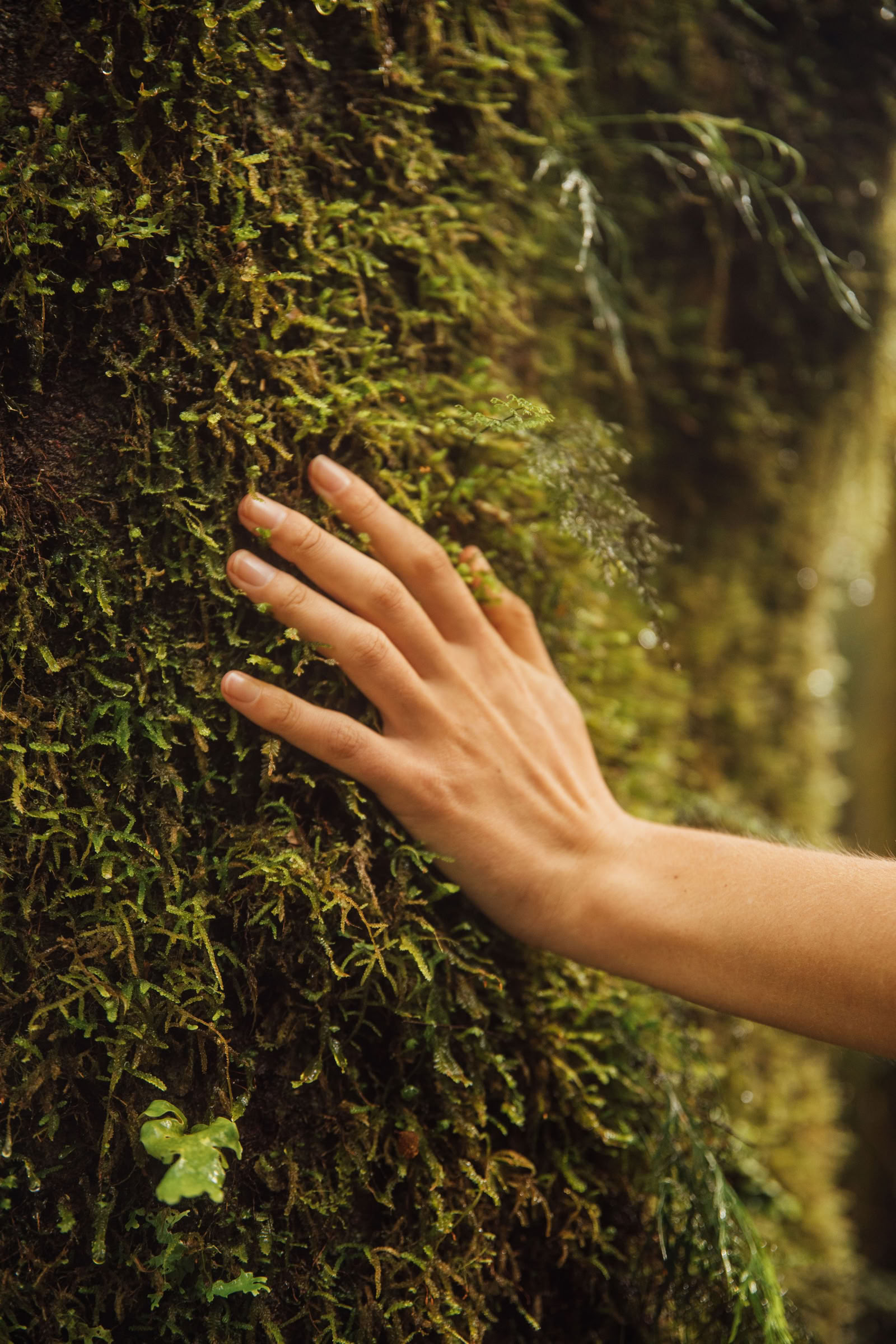 Reconnect with Nature
