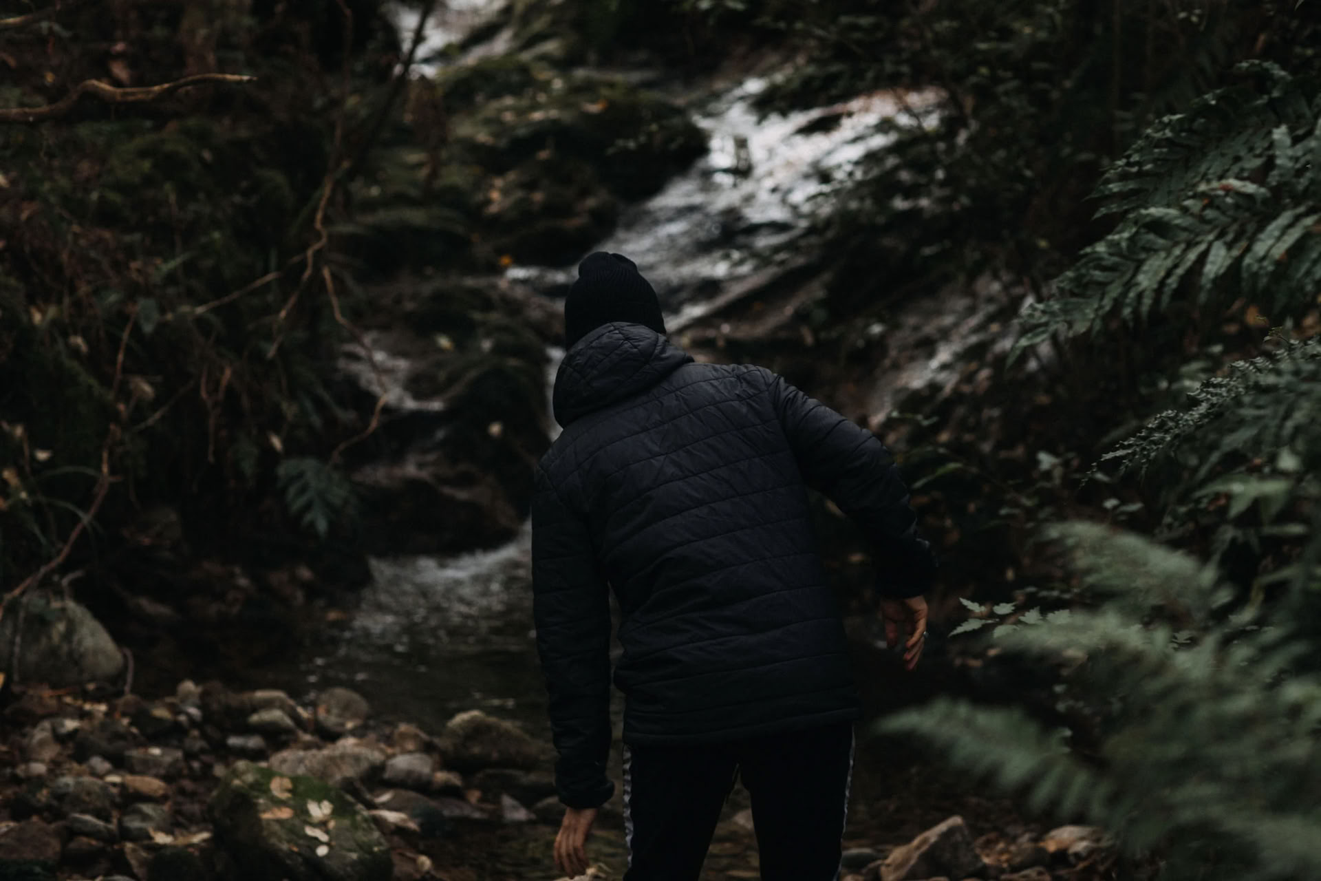 Reconnect with Nature