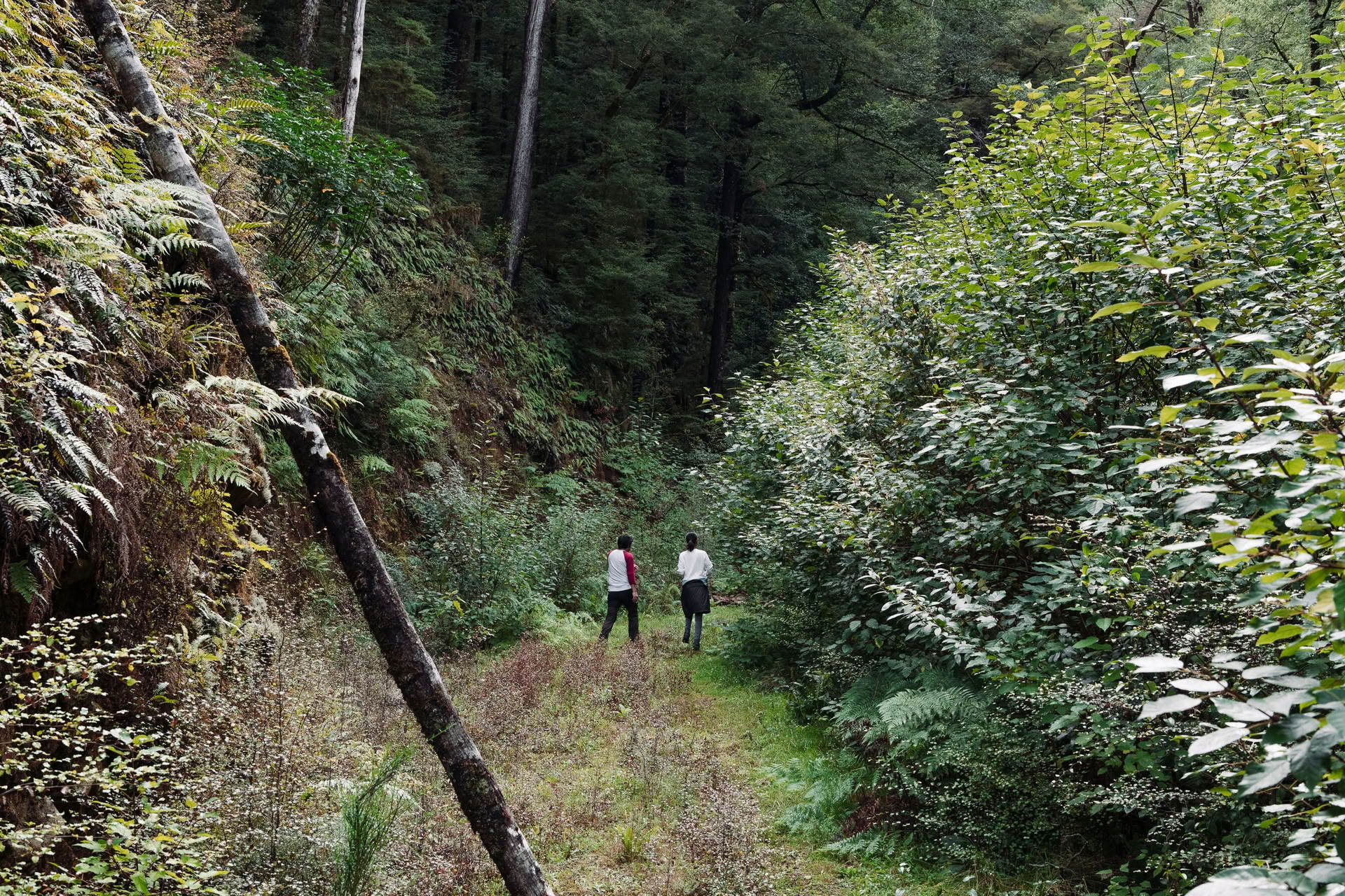Reconnect with Nature