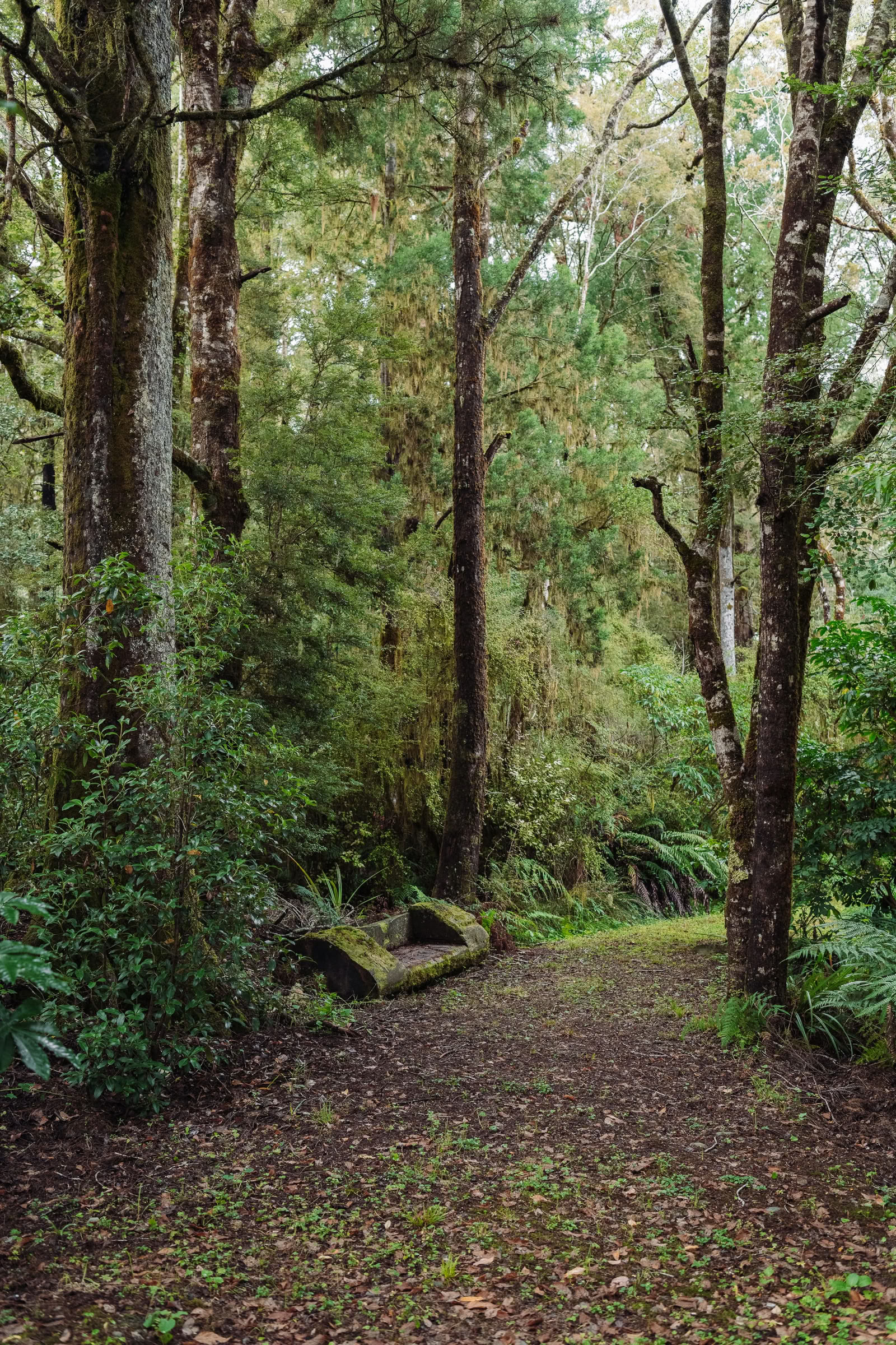 Nature and Yoga Retreat – South Island, New Zealand with Joan Hyman | Maruia River Retreat: Luxury Wellness Resort New Zealand