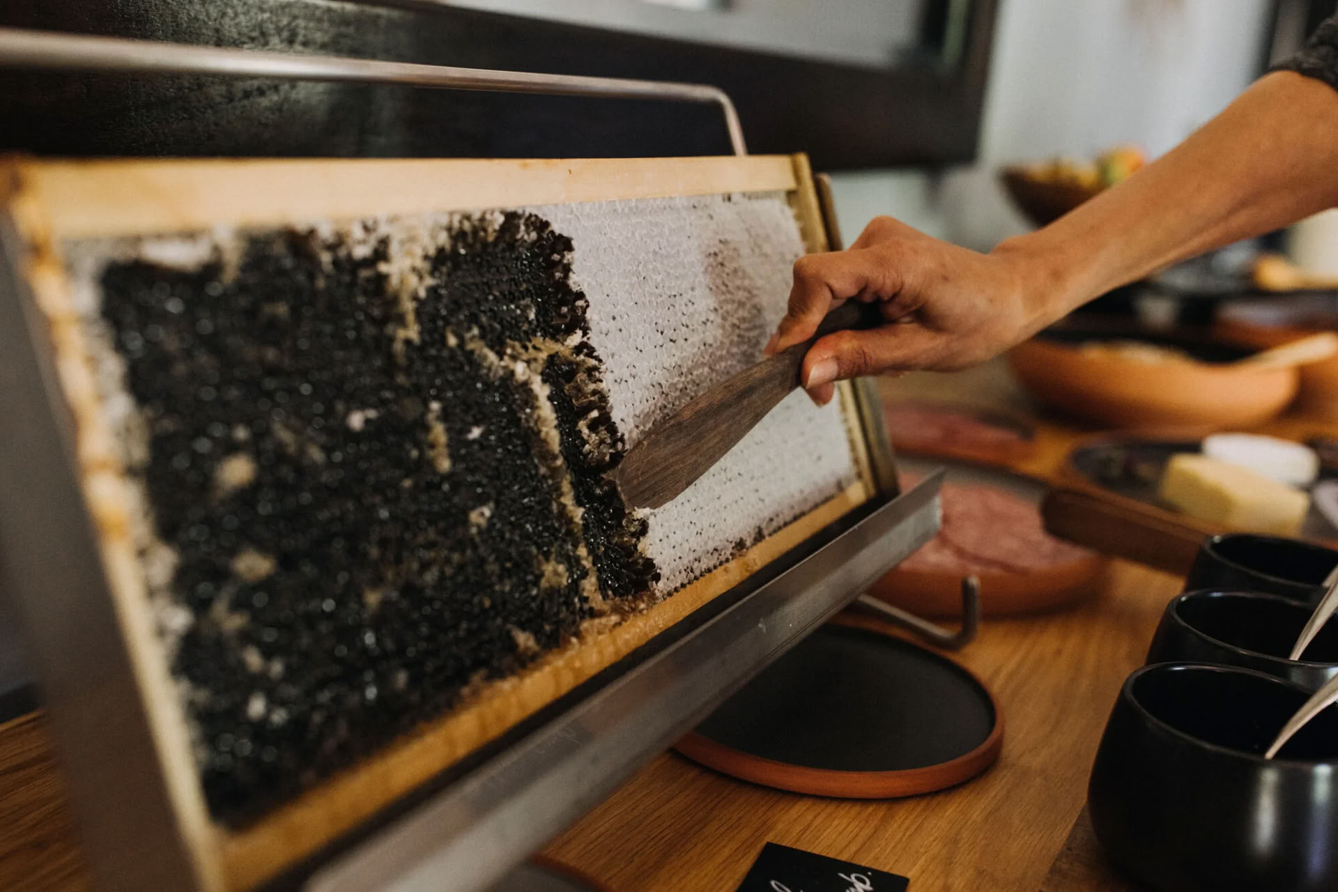 Nature and Yoga Retreat – South Island, New Zealand with Joan Hyman