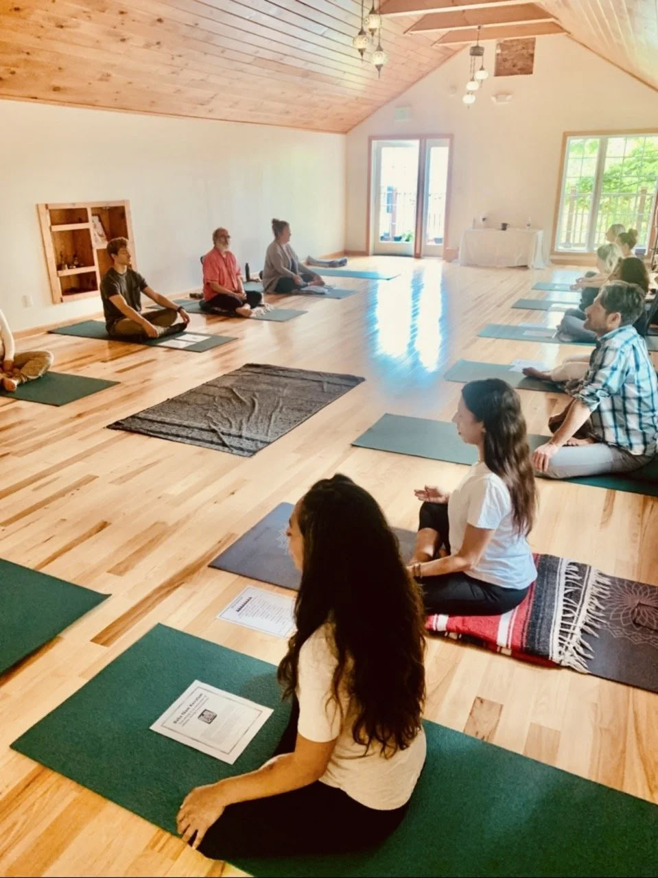 Meditation, Yoga & Living with Purpose — Ananda Viplava