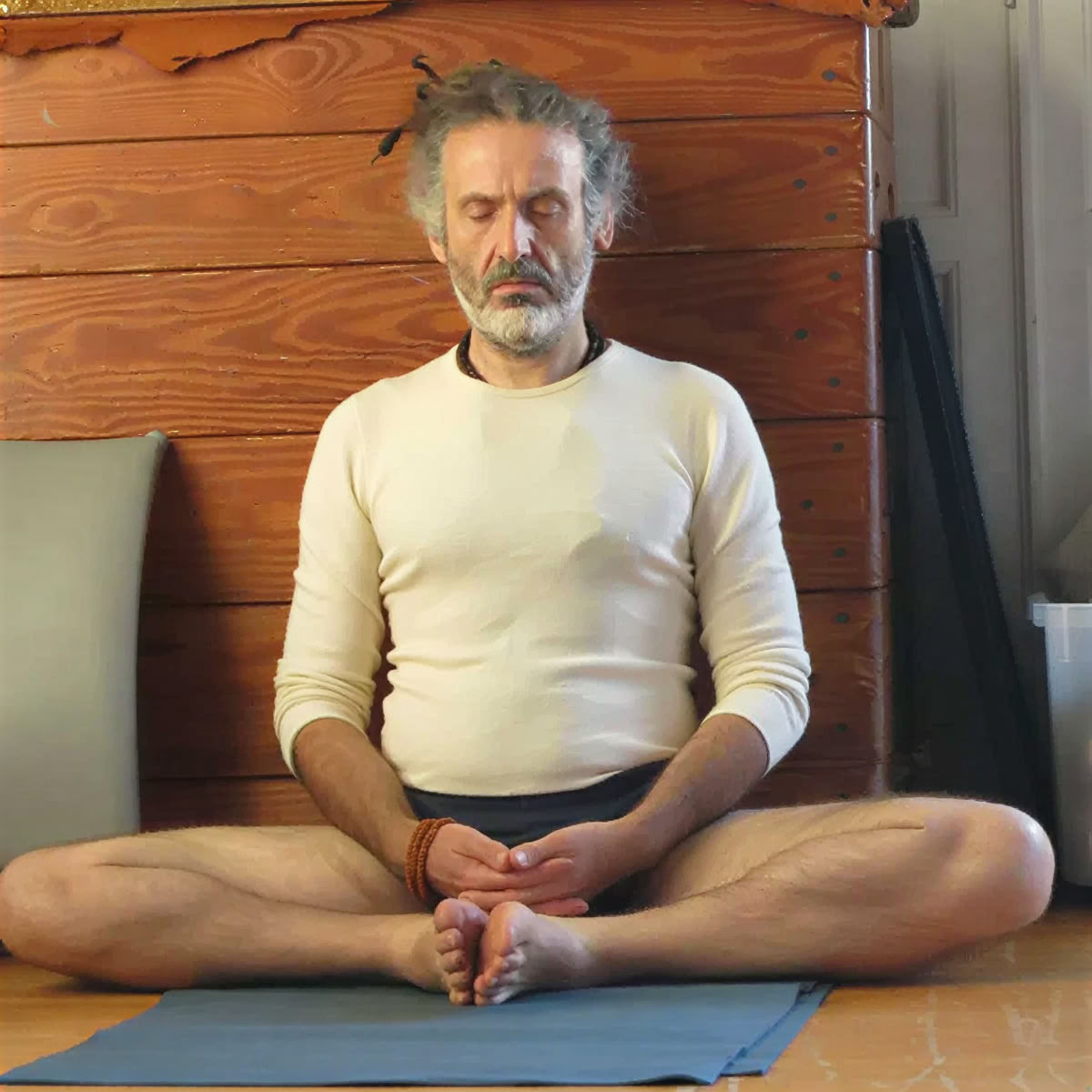 Iyengar Yoga Workshop with Christian Pisano