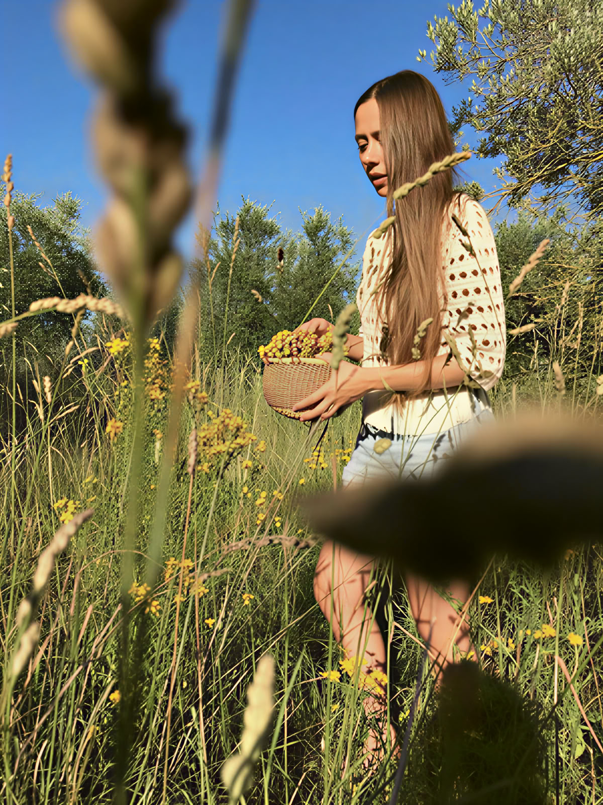 5-Day Soulful Yoga Retreat in Tuscany | Maraviglia — Maraviglia Farm Stay in Tuscany