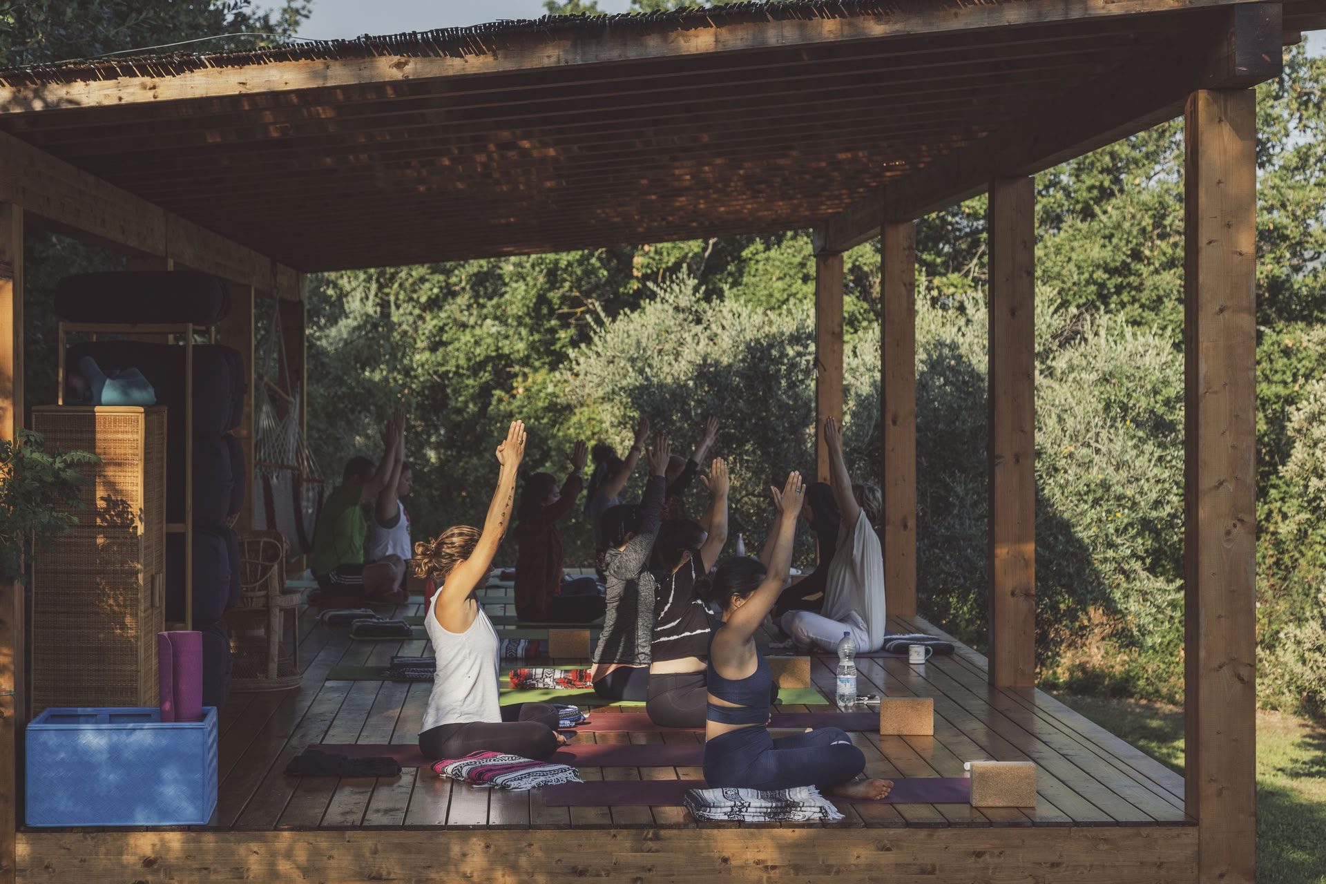 Olive Harvest Retreat