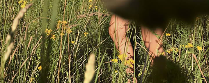 Maraviglia Spring Retreat
