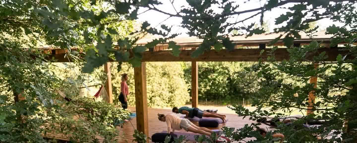 Mindful Movement Retreat