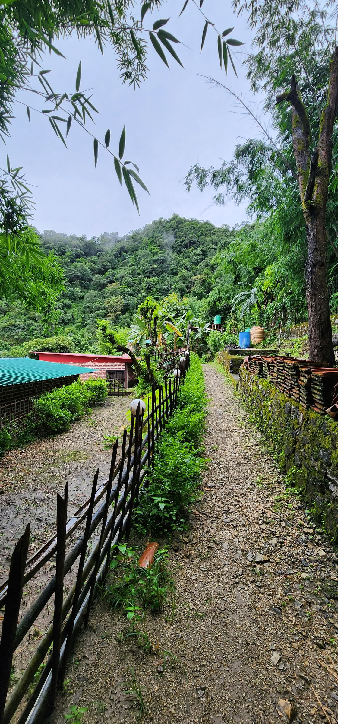 6 Day Surrender Retreat in Rishikesh