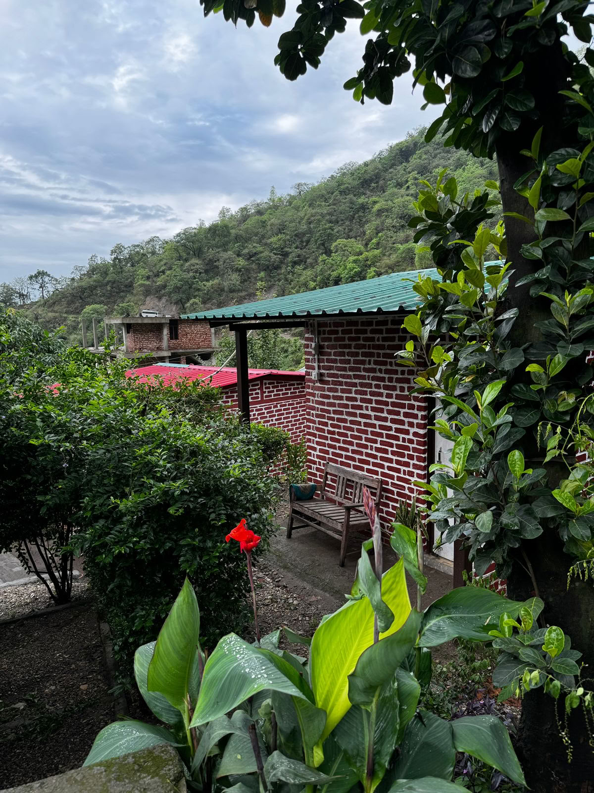 6 Day Surrender Retreat in Rishikesh