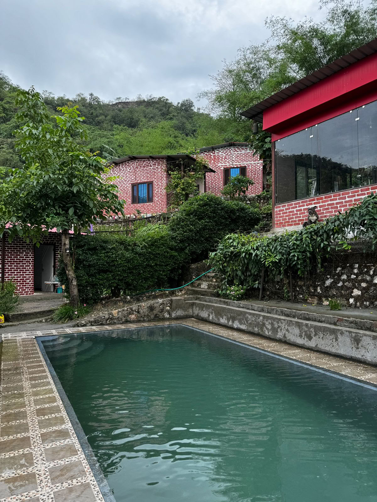 6 Day Surrender Retreat in Rishikesh