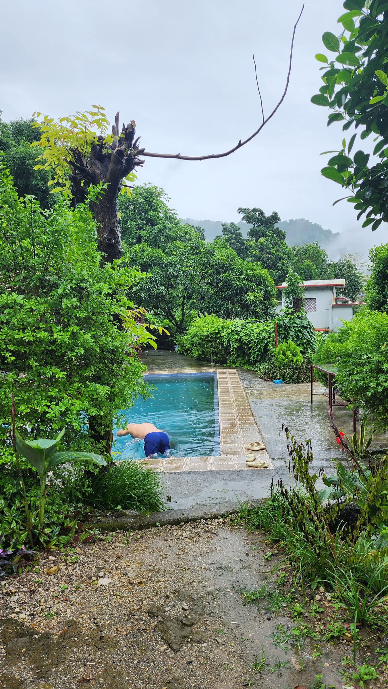 6 Day Surrender Retreat in Rishikesh