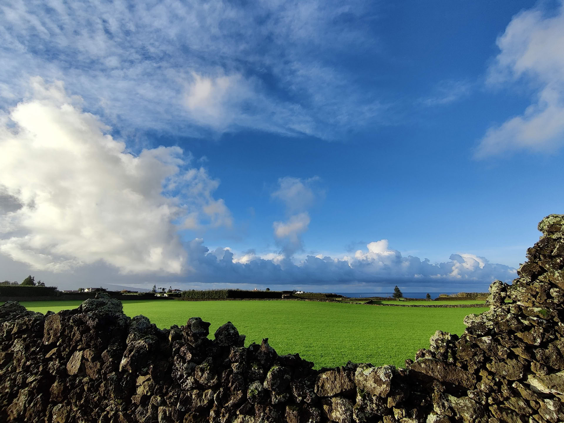 Immerse in MYMINUVIDA - MINUVIDA AZORES